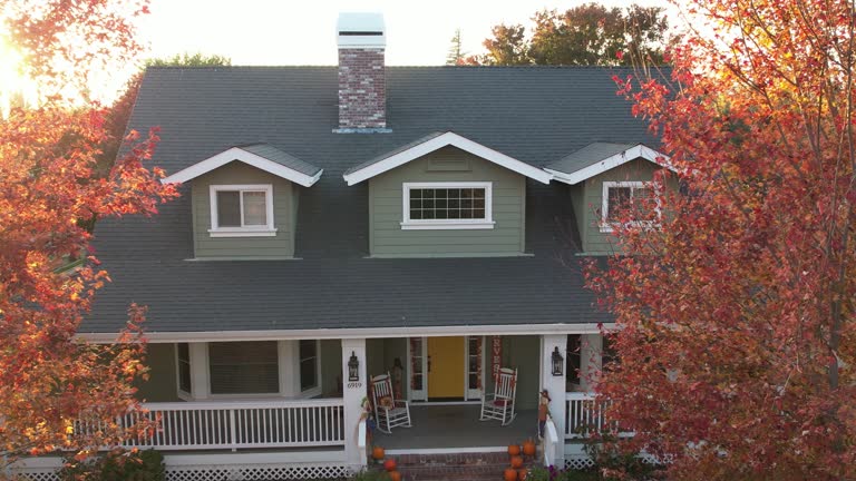 Roof Moss and Algae Removal